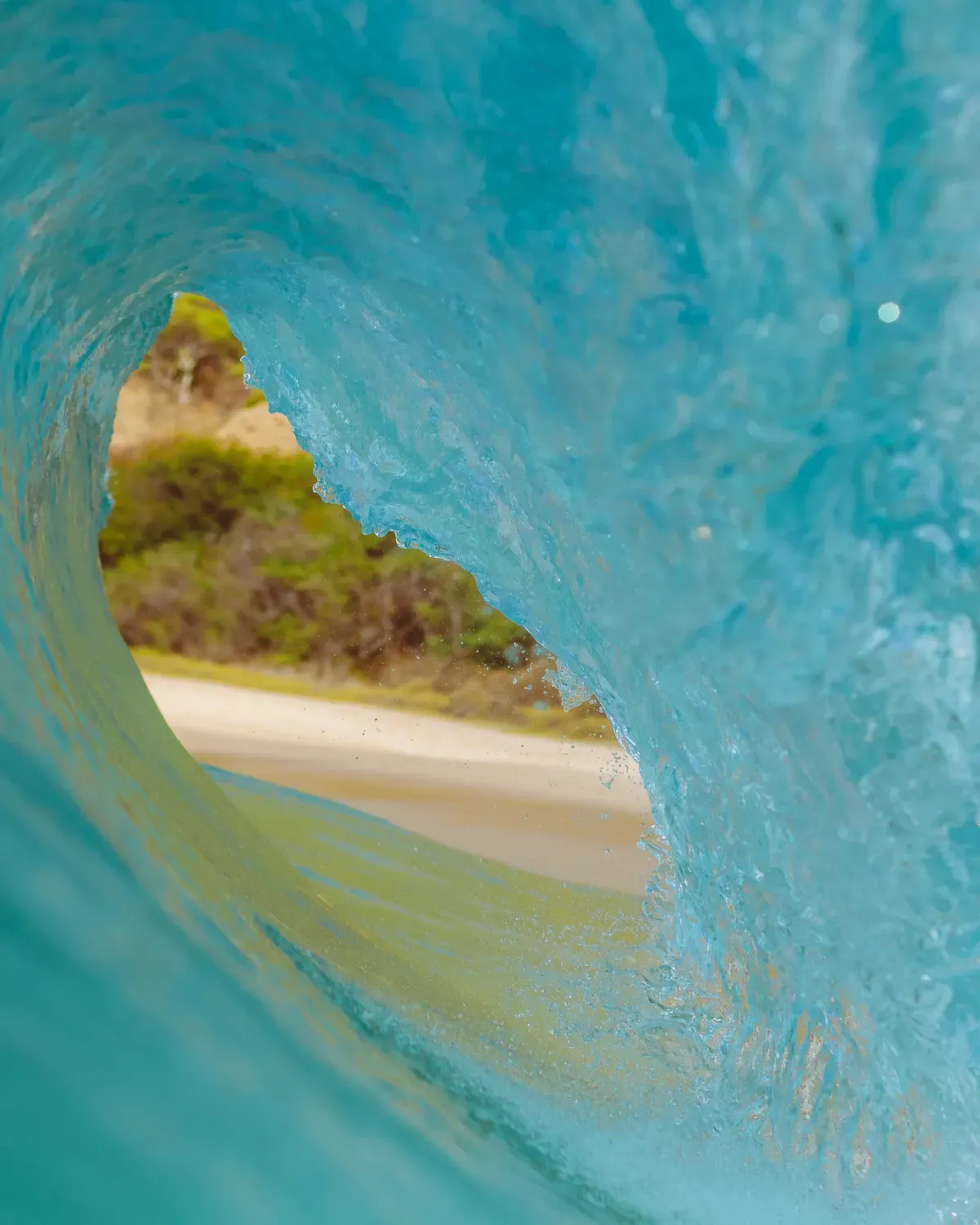 A turquoise wave drawing itself up, its translucent crest backlit under a veil of white spray